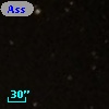 Ass Sco OB   2-44