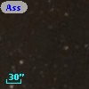 Ass Sco OB   2-51