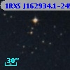 1RXS J162934.1-245532