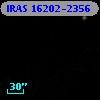 IRAS 16202-2356