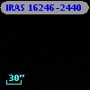 IRAS 16246-2440