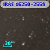 IRAS 16250-2558
