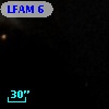LFAM  6