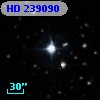 HD 239090