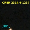 2MASS J16261581-2419221
