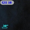 GSS 10