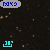 ROX  9