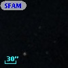 SFAM   5