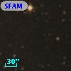 SFAM   6