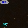 SFAM  14