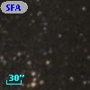 SFAM  17