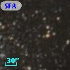 SFAM  19