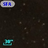 SFAM  21