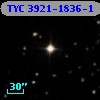 TYC 3921-1836-1
