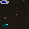 SFAM  24