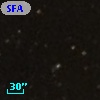 SFAM  25