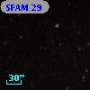 SFAM  29