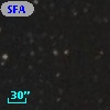 SFAM  64