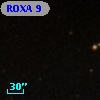 ROXA  9