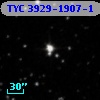 TYC 3929-1907-1