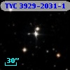 TYC 3929-2031-1
