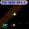 TYC 3938-981-1