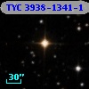 TYC 3938-1341-1