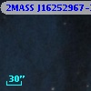 2MASS J16252967-2421331