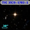 TYC 3929-1703-1