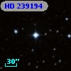 HD 239194