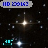 HD 239162
