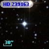 HD 239163