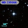 HD 239166