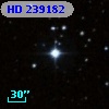 HD 239182
