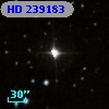 HD 239183