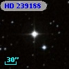 HD 239188