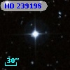 HD 239198