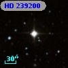 HD 239200