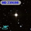 HD 239199