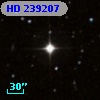 HD 239207