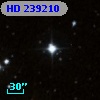 HD 239210