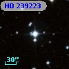 HD 239223