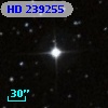 HD 239255