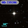 HD 239206