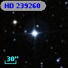HD 239260