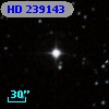 HD 239143