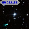 HD 239169