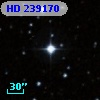 HD 239170