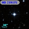 HD 239175