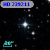 HD 239211